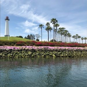 Meet your Posher, Dorothy